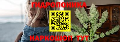 дмт Свободный