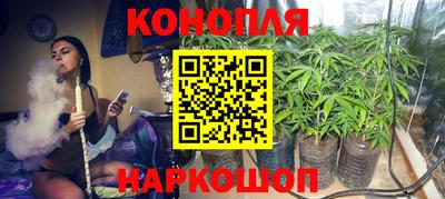 мяу мяу мука Славгород