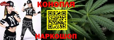 гашик Сланцы