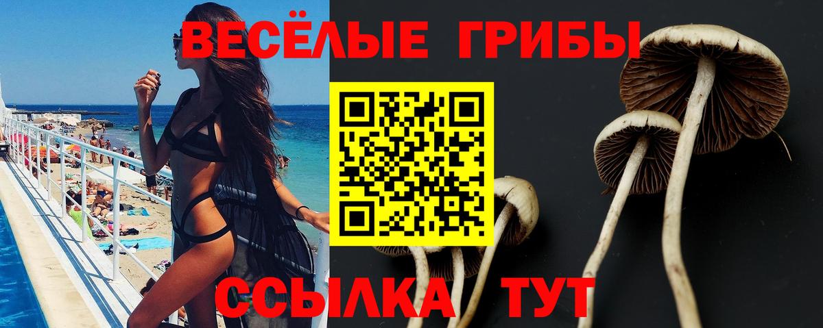 Галлюциногенные грибы Cubensis Мценск